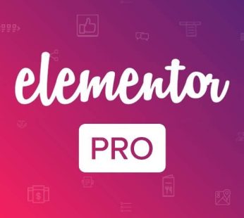 Plugin Elementor Pro Download WordPress